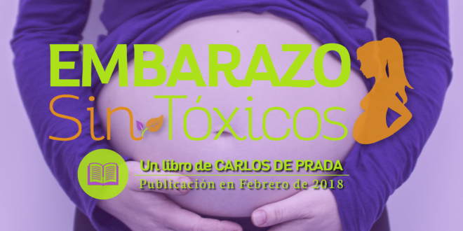 libro embarazo sin toxicos hogar sin toxicos