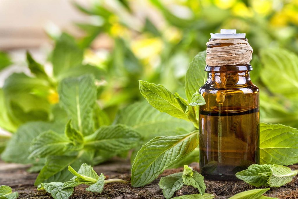 aceite-de-menta-1024x683