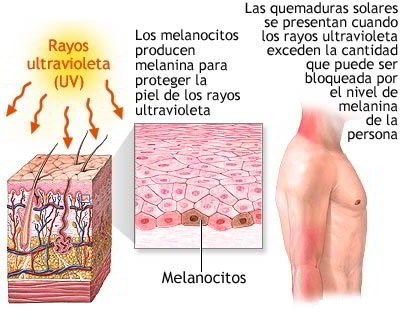 Fuente: http://dimetilsulfuro.es Fuente: http://dimetilsulfuro.es