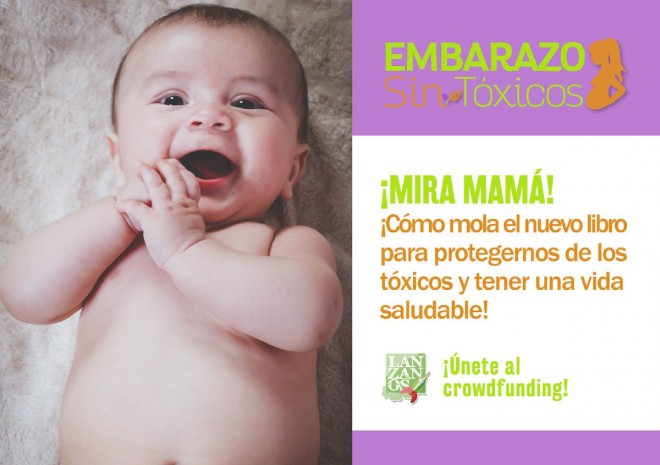 libro embarazo sin toxicos my natural baby box