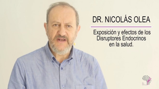 EXPOSICION A TOXICOS DURANTE EL EMBARAZO